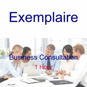 Exemplaire - Services - Business Consultation