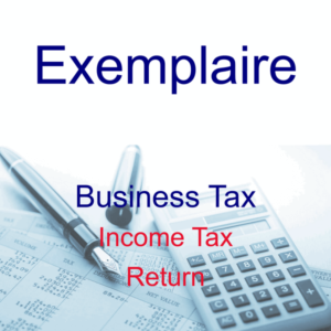 Exemplaire - Services - Tax - Business - Income Tax