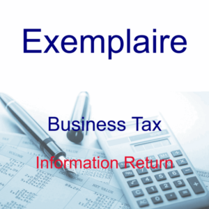 Exemplaire - Services - Tax - Business - Information Return